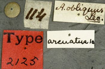 Media type: image;   Entomology 2125 Aspect: labels